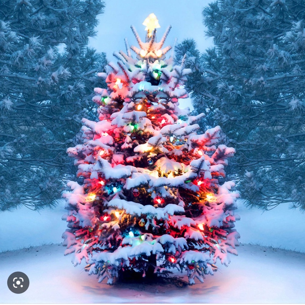 Christmas sweater